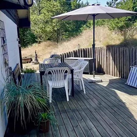 On A Huge Nature Plot Skagen