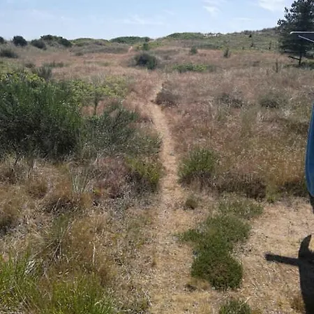 Holiday home On A Huge Nature Plot Skagen