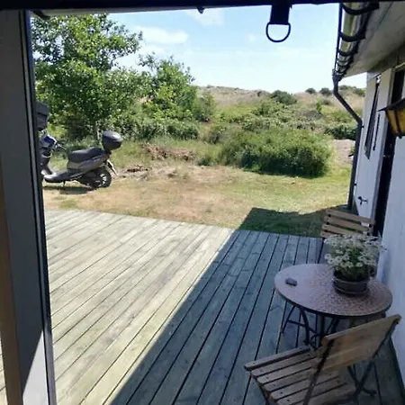 On A Huge Nature Plot *