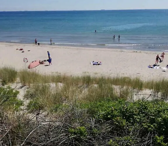 On A Huge Nature Plot Ferienhaus Skagen