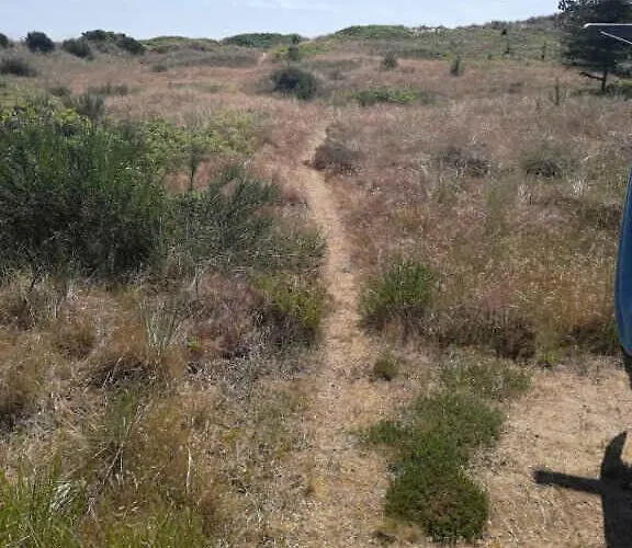 Holiday home On A Huge Nature Plot Skagen