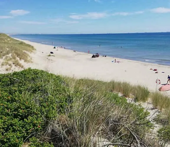 On A Huge Nature Plot Ferienhaus Skagen